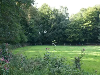 Ferienwohnung für 2 Personen (57 m²) in Tecklenburg 8/10