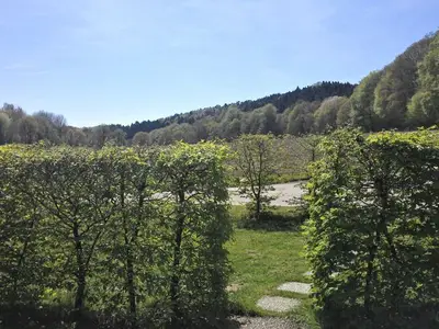 Ferienwohnung für 3 Personen (50 m²) in Tecklenburg 3/10