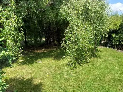 Ferienwohnung für 6 Personen (120 m²) in Tecklenburg 4/10
