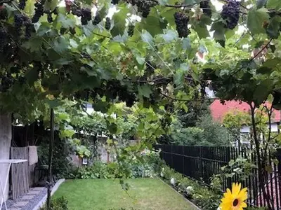 Ferienwohnung für 3 Personen (45 m²) in Tecklenburg 2/8