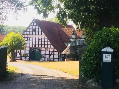 Ferienwohnung für 3 Personen (75 m²) in Tecklenburg 7/10