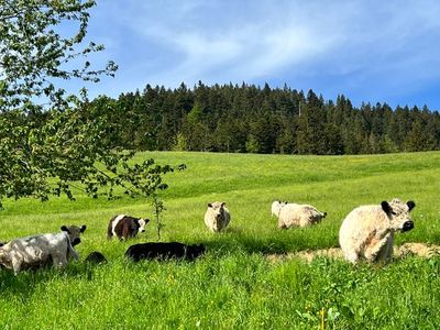 Ferienwohnung für 8 Personen (90 m²) in Tegernsee 4/10