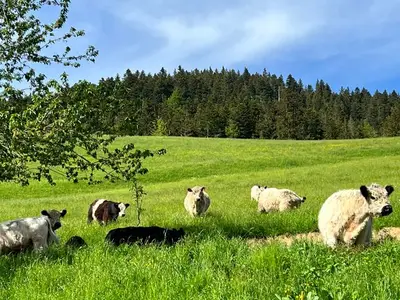 Ferienwohnung für 6 Personen (90 m²) in Tegernsee 4/10