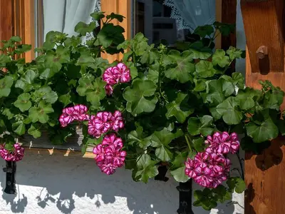 Ferienwohnung für 2 Personen (95 m²) in Tegernsee 8/10