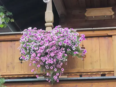 Ferienwohnung für 3 Personen (20 m²) in Tegernsee 4/10