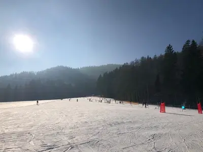 Ferienwohnung für 3 Personen (51 m²) in Tegernsee 3/10