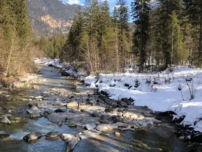 Ferienwohnung für 3 Personen (51 m²) in Tegernsee 9/10