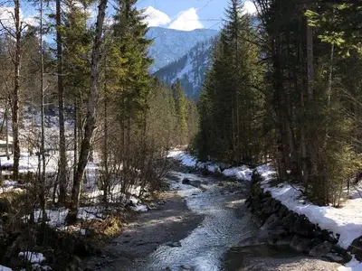 Ferienwohnung für 3 Personen (51 m²) in Tegernsee 10/10