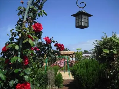 Ferienwohnung für 2 Personen (35 m²) in Tegueste 6/10