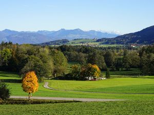 23444550-Ferienwohnung-7-Teisendorf-300x225-1