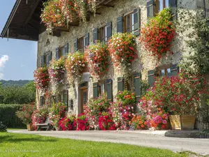 Ferienwohnung für 4 Personen (60 m²) in Teisendorf