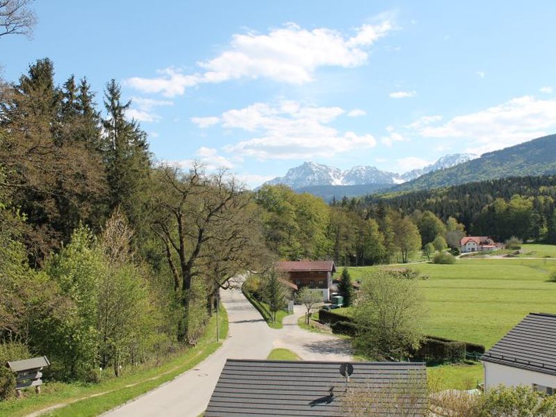 18926333-Ferienwohnung-5-Teisendorf-800x600-2