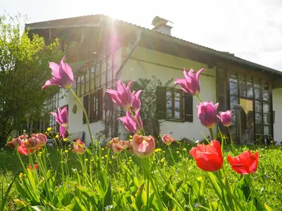 Ferienwohnung für 7 Personen (180 m²) in Teisendorf 7/10