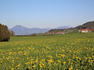 Blick vom Gästehaus