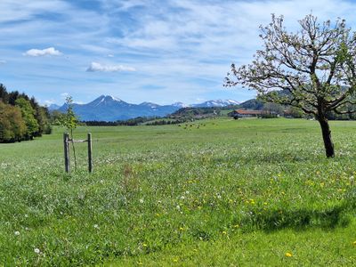 Ausblick von Fewo im Frühling