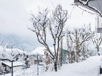 Garten-Winterlandschaft