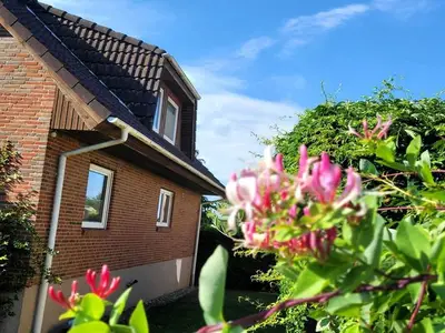 Ferienwohnung für 7 Personen (120 m²) in Teschow 6/10