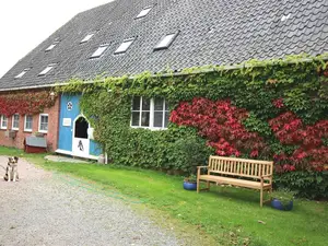 Ferienwohnung für 4 Personen (50 m²) in Tetenbüll