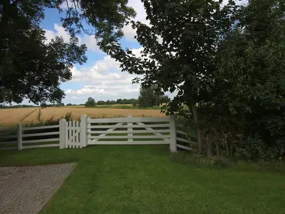 Eiderstedter Hecktor