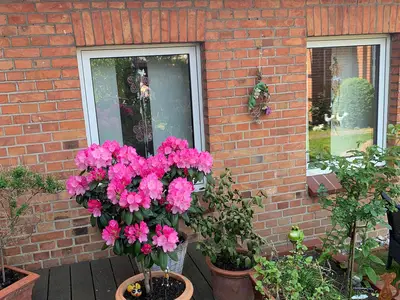 Ferienwohnung für 2 Personen (32 m²) in Teterow 1/10