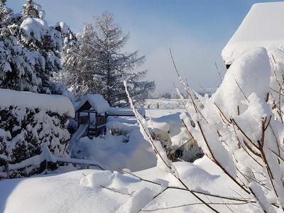 Garten im Winter