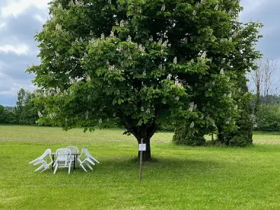 Sitzplatz unter der Kastanie