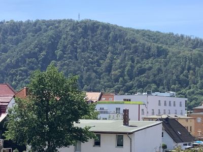 Blick auf die Roßtrappe