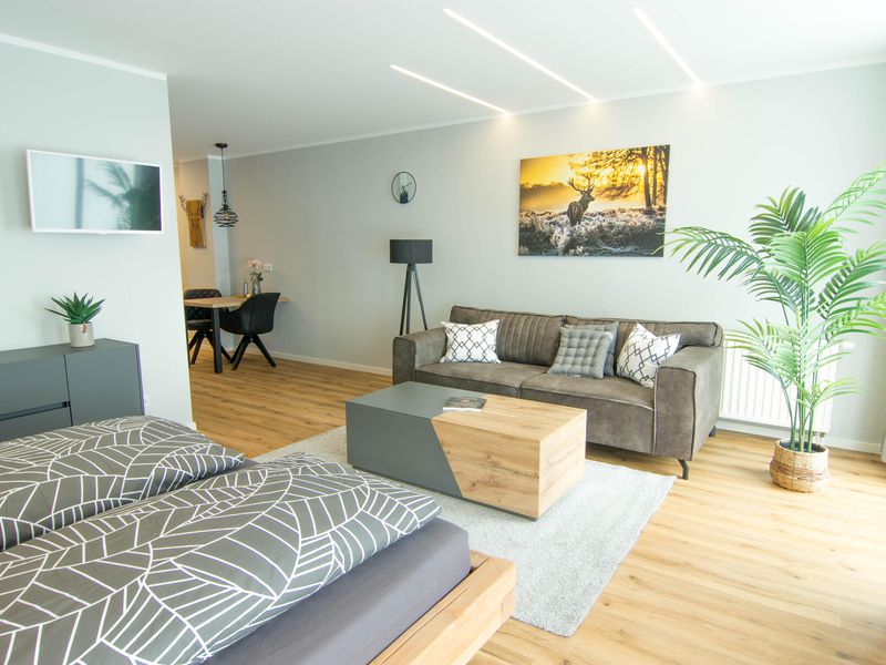 Appartement am Mythenweg - Thale - Boidetal