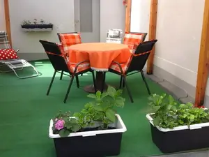Ferienwohnung für 4 Personen (70 m²) in Thale