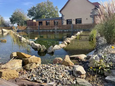 Dammühle-
