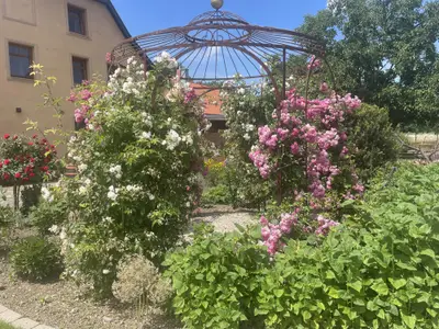 Dammühle-.