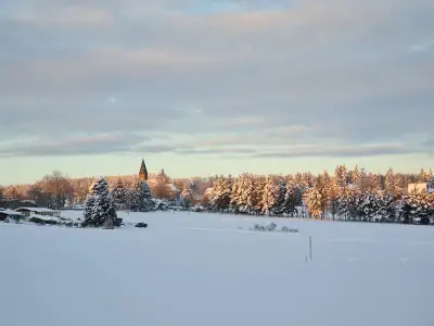 Ferienwohnung für 4 Personen (55 m²) in Thale 8/10