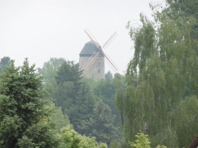 Blick aus dem Wohnzimmer - Warnstedter Mühle    