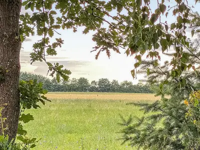 view-from-room