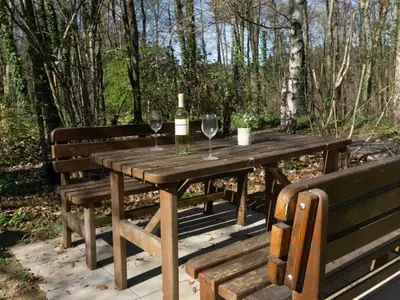 Ferienwohnung für 4 Personen (65 m²) in Thalfang 5/10