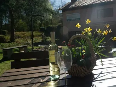 Ferienwohnung für 4 Personen (70 m²) in Thalfang 8/10