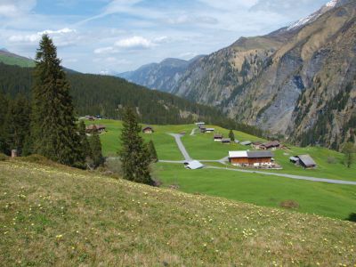 Ferienwohnung Studio Bäch - Aussicht Sommer