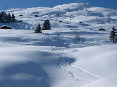 Ferienwohnung Studio Bäch - Aussicht Winter