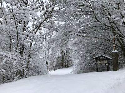 Winterlandschaft, Wanderweg