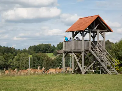 Aussichtsturm