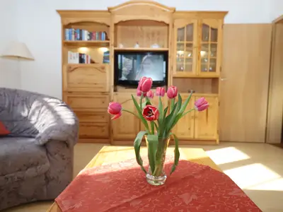 TV / Multimedia