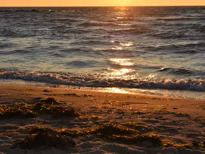 Ferienwohnung für 4 Personen (65 m²) in Thiessow 3/10