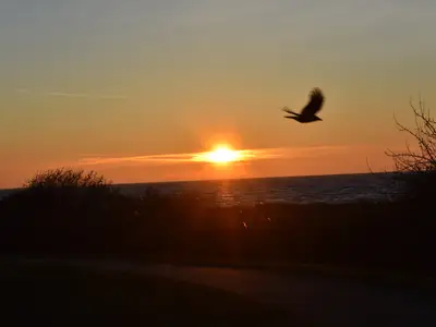 Ferienwohnung für 4 Personen (65 m²) in Thiessow 4/10