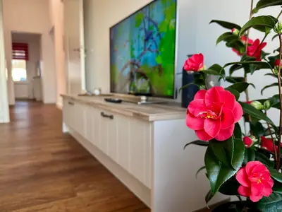 TV / Multimedia