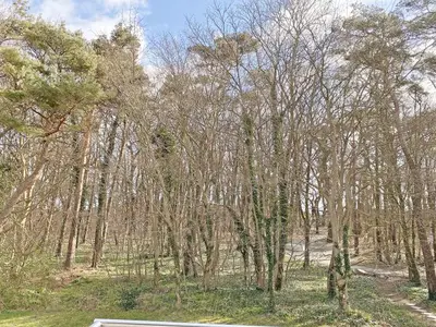 Ferienwohnung für 4 Personen (55 m²) in Thiessow 7/10
