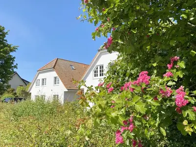Ferienwohnung für 4 Personen (60 m²) in Thiessow 2/10