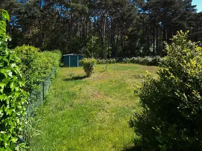 Ferienwohnung für 4 Personen (61 m²) in Thiessow 5/10