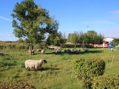 Ferienwohnung für 4 Personen (60 m²) in Thiessow 10/10