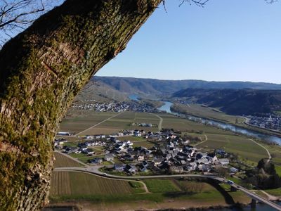 Aussicht auf Thörnich