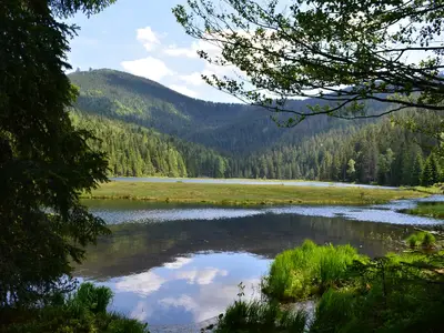 Kleiner Arbersee